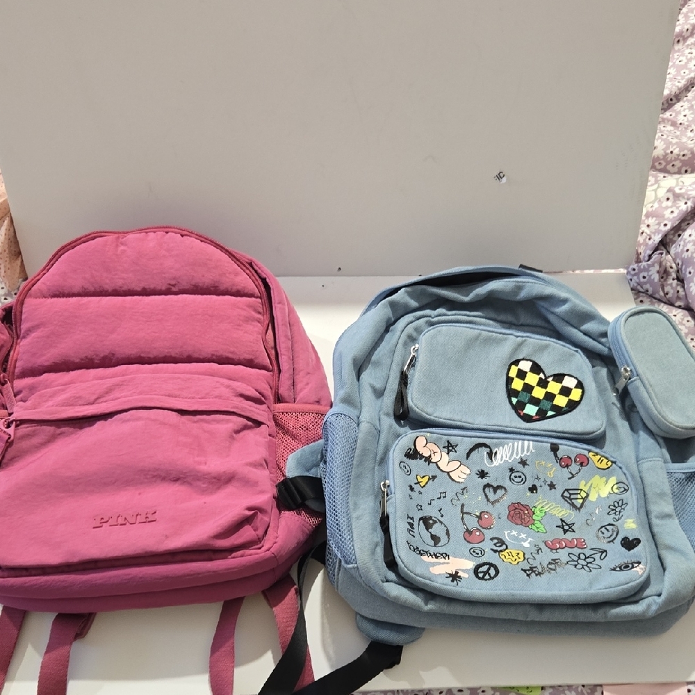 Pink And Blue Kids Backpack Set